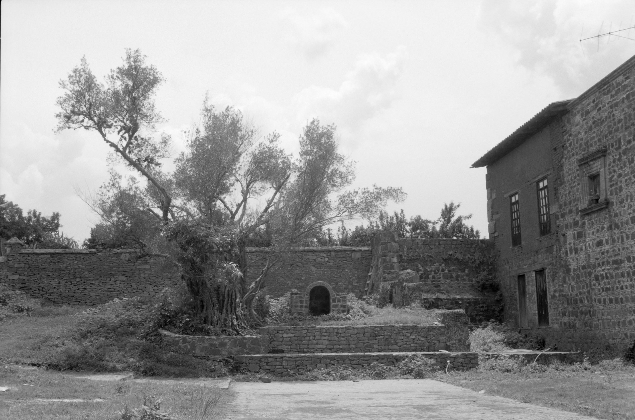 AHP FilmScan 240807 0466